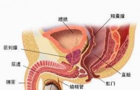 苏州东吴医院电话